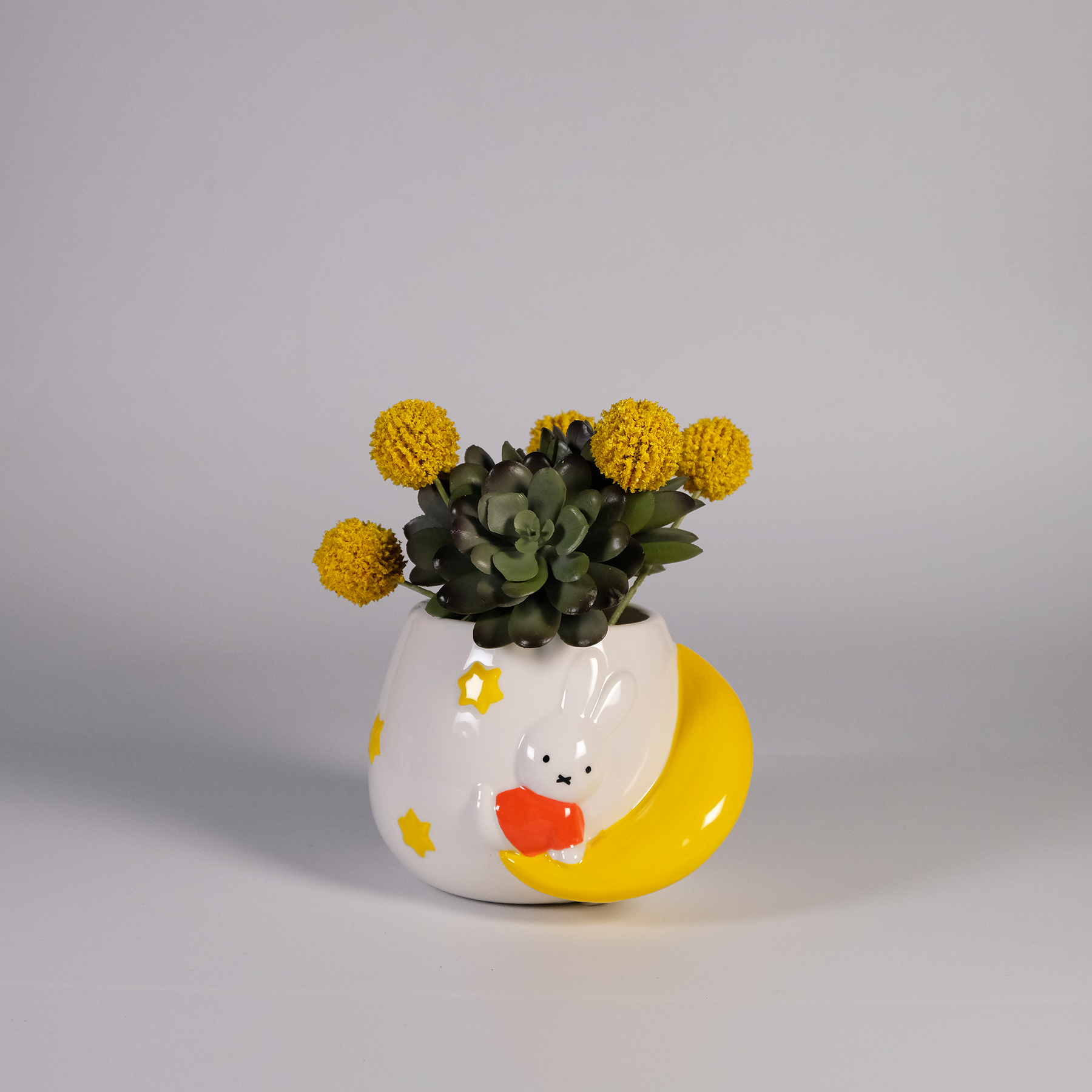 tesco plant pots Miffy Moon Star Planter