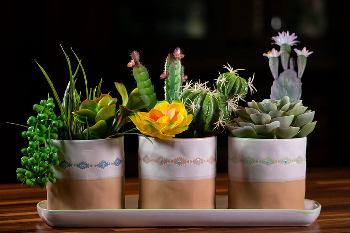 Navajo Set of 4" Planters W/ Tray