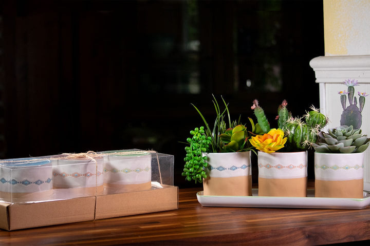 Navajo Set of 4" Planters W/ Tray