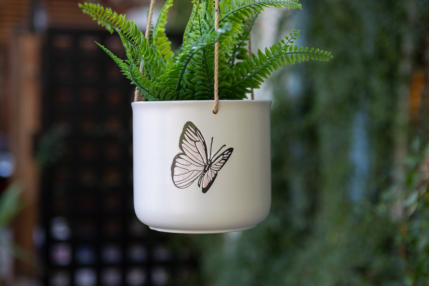 butterfly hanging plants Lilyanna Butterfly Flower Pot