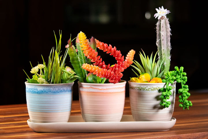 Pastel Charm Set of 4" Planters W/ Tray