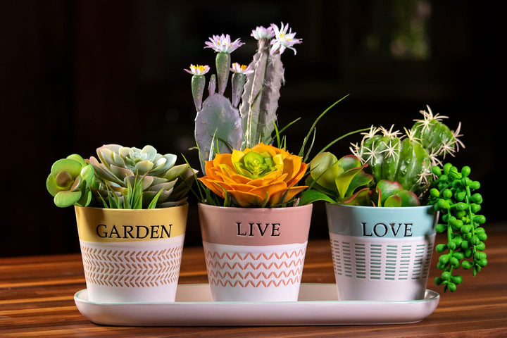 Spring Sentiment Set of 4" Planters W/ Tray