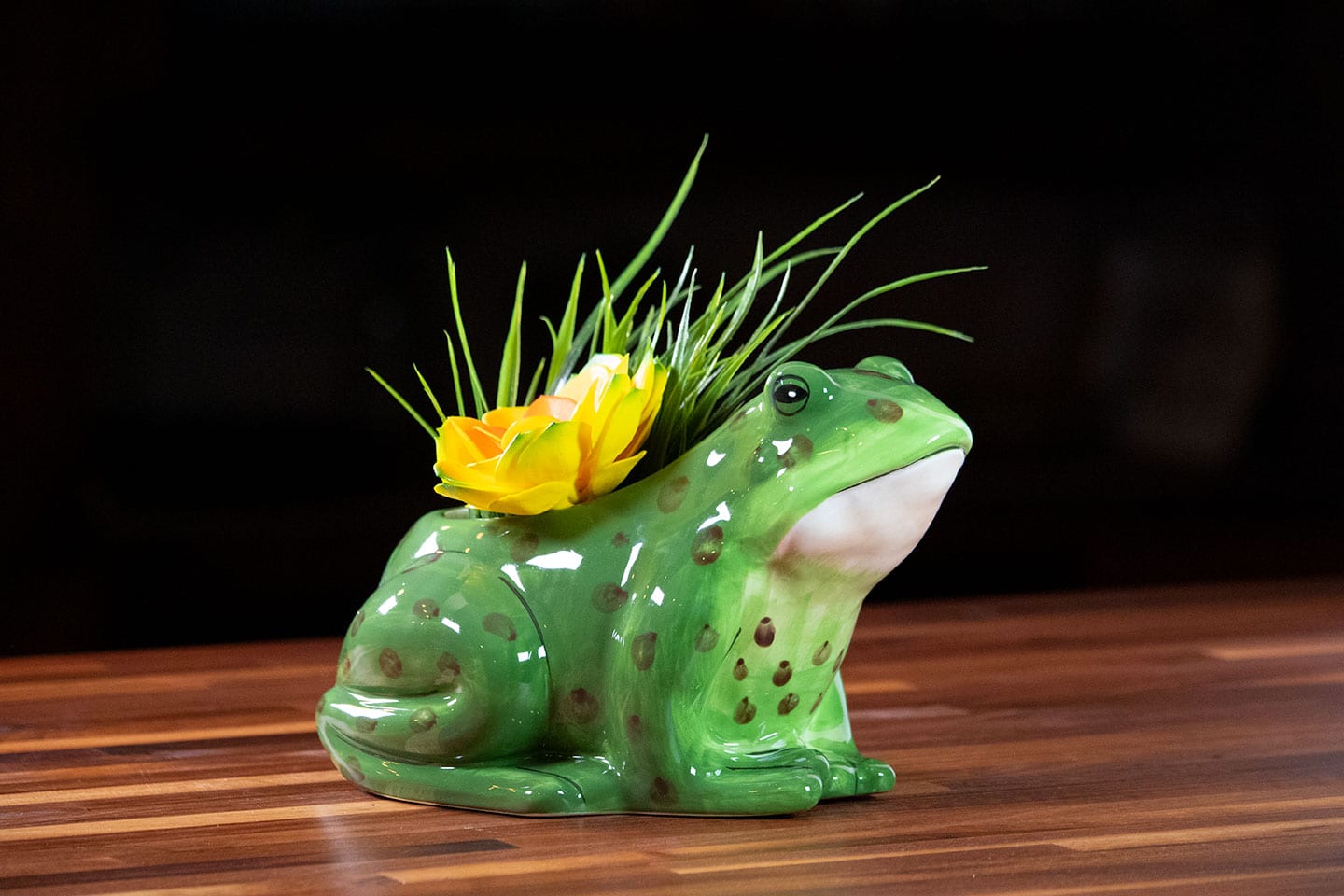 frog plant pot Frog 8 in Planter