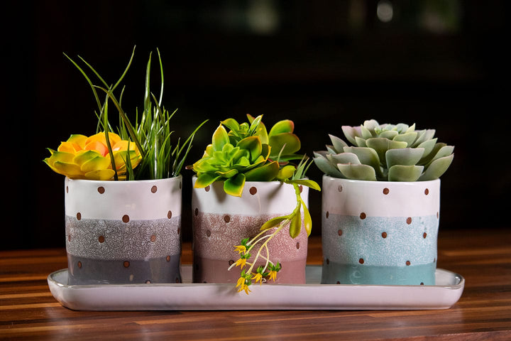 Ashton Dot Set of 4" Planter W/ Tray