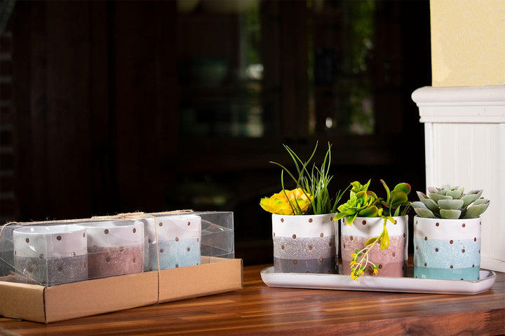 Ashton Dot Set of 4" Planter W/ Tray