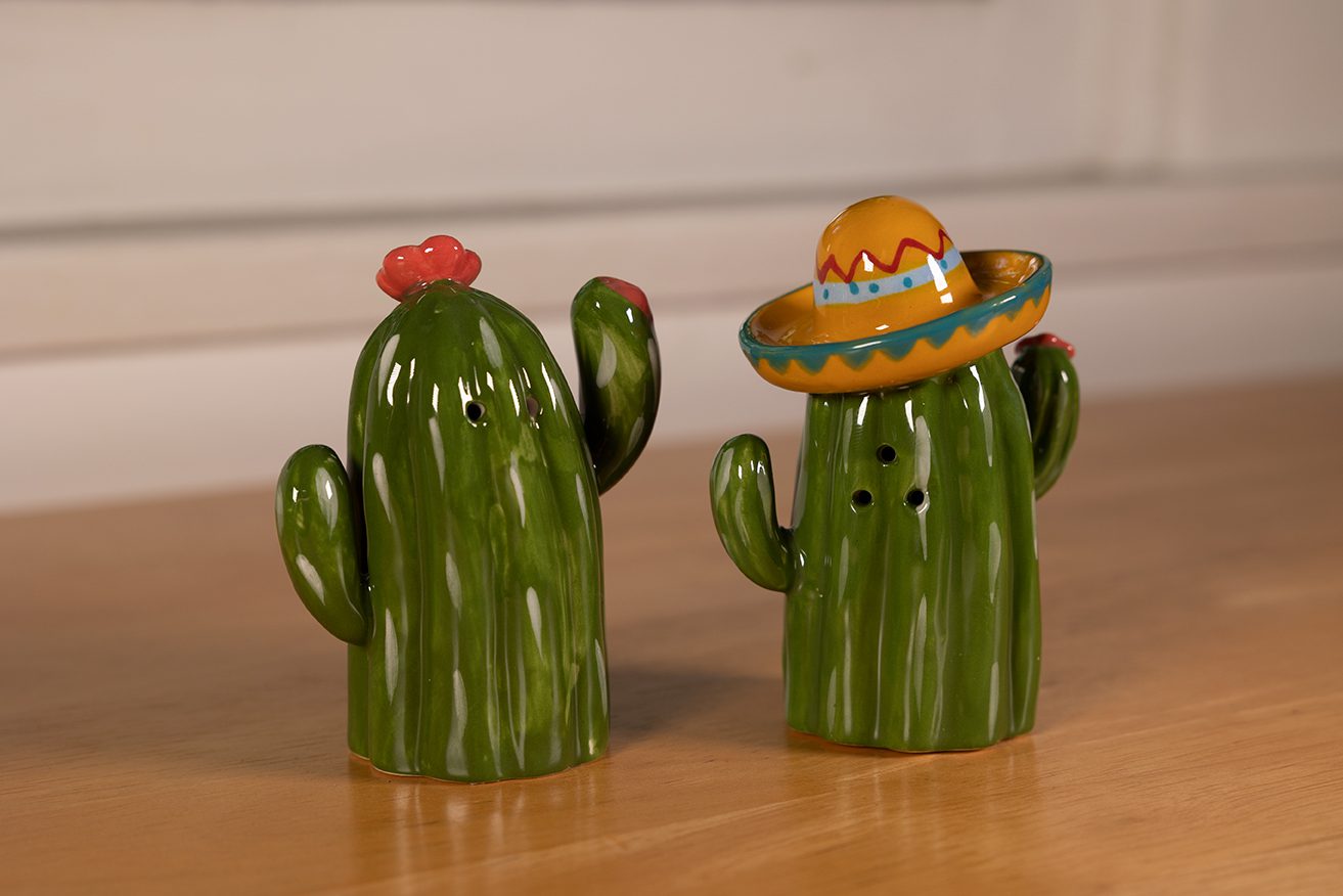 succulent salt and pepper shakers Cactus Salt & Pepper Set
