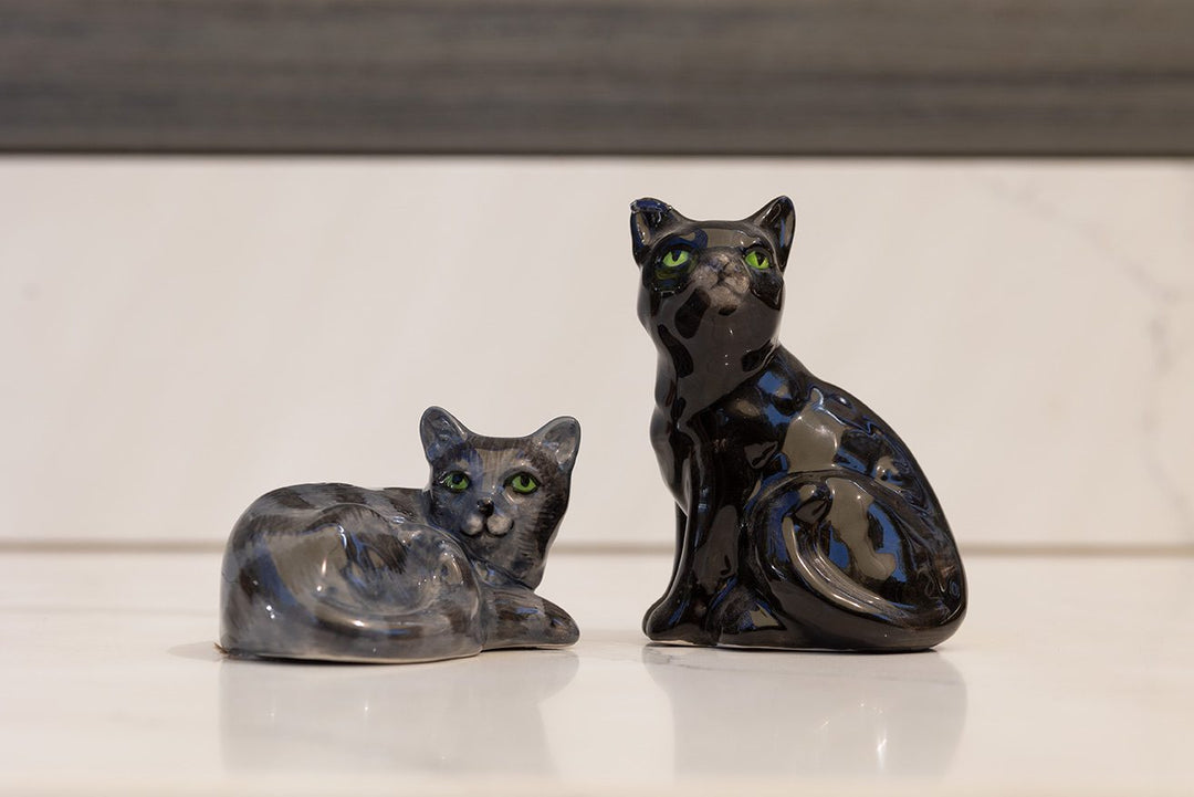 Black Cat SP