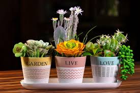 Spring Home Decor