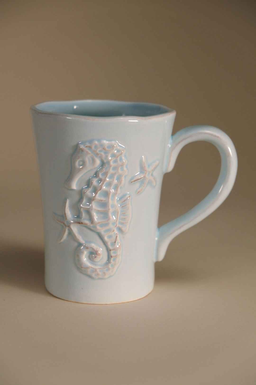 Laguna Coastal Mug in Blue Set of 2