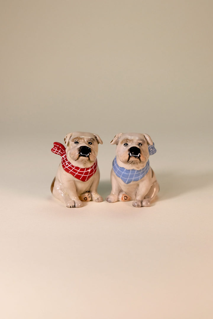 PENELOPE SALT & PEPPER SET