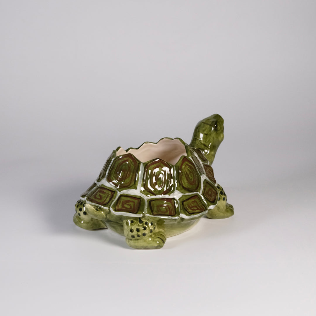 Turtle Planter