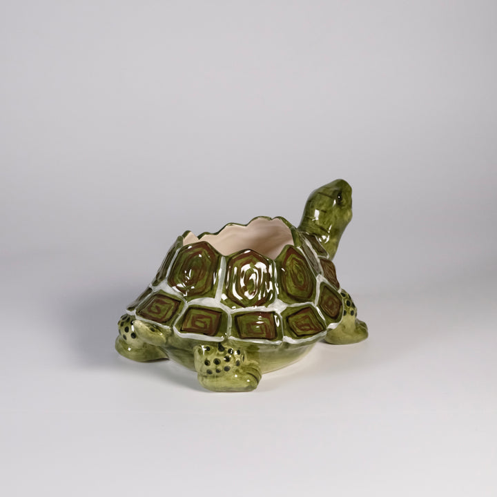 Turtle Planter