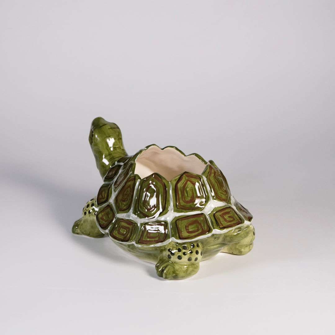 Turtle Planter