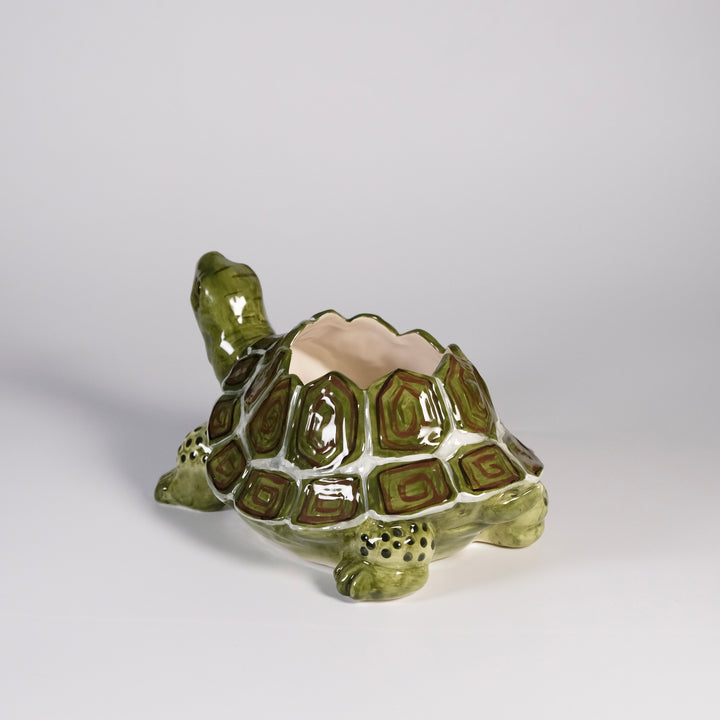Turtle Planter