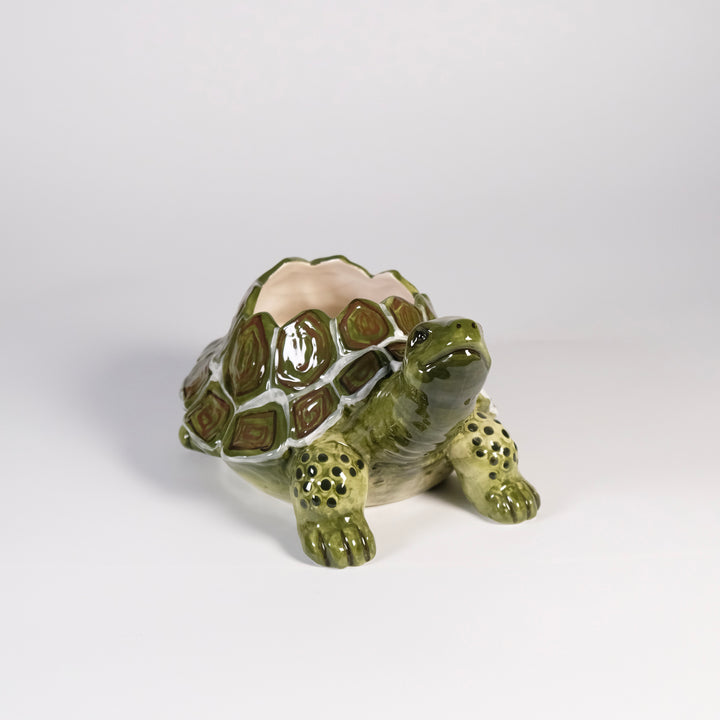 Turtle Planter