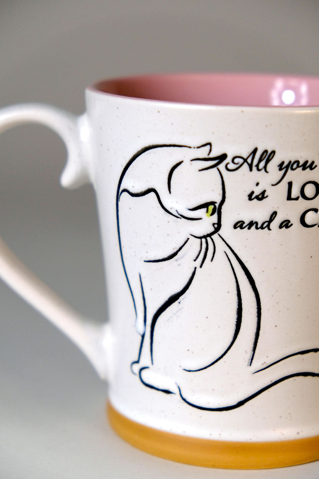 All You Need is Love and a Cat 17oz Mug