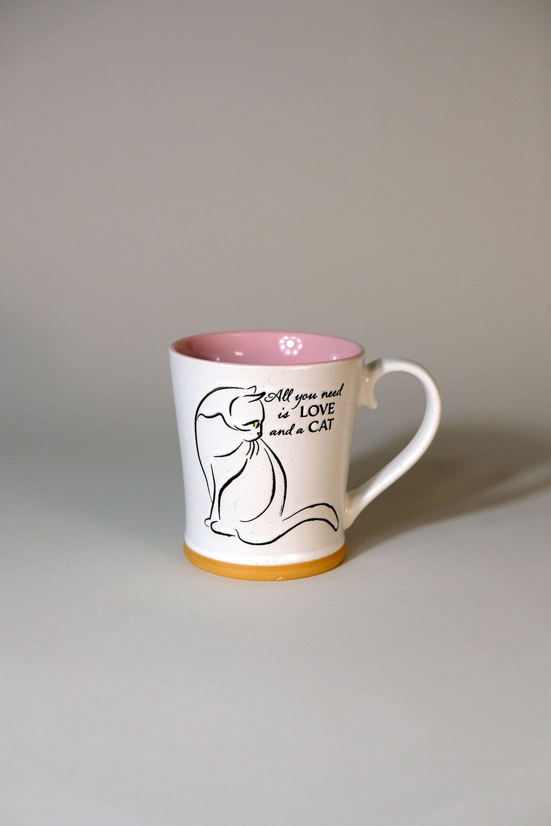 All You Need is Love and a Cat 17oz Mug