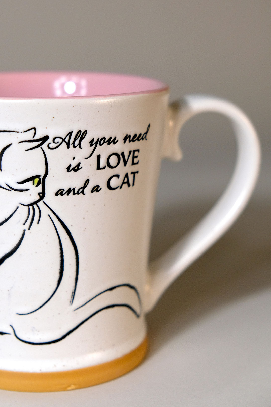 All You Need is Love and a Cat 17oz Mug