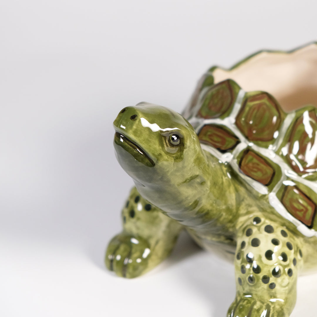 Turtle Planter