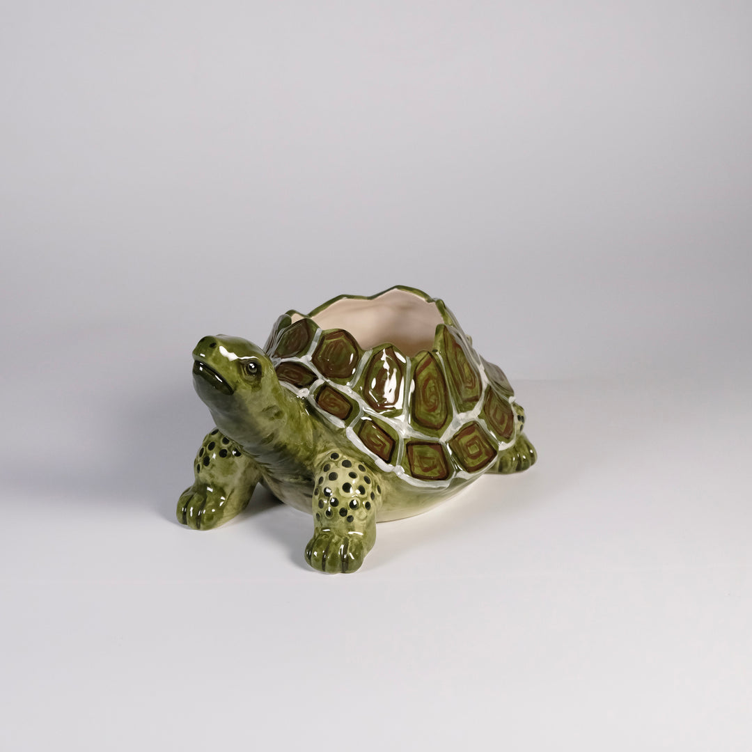 Turtle Planter