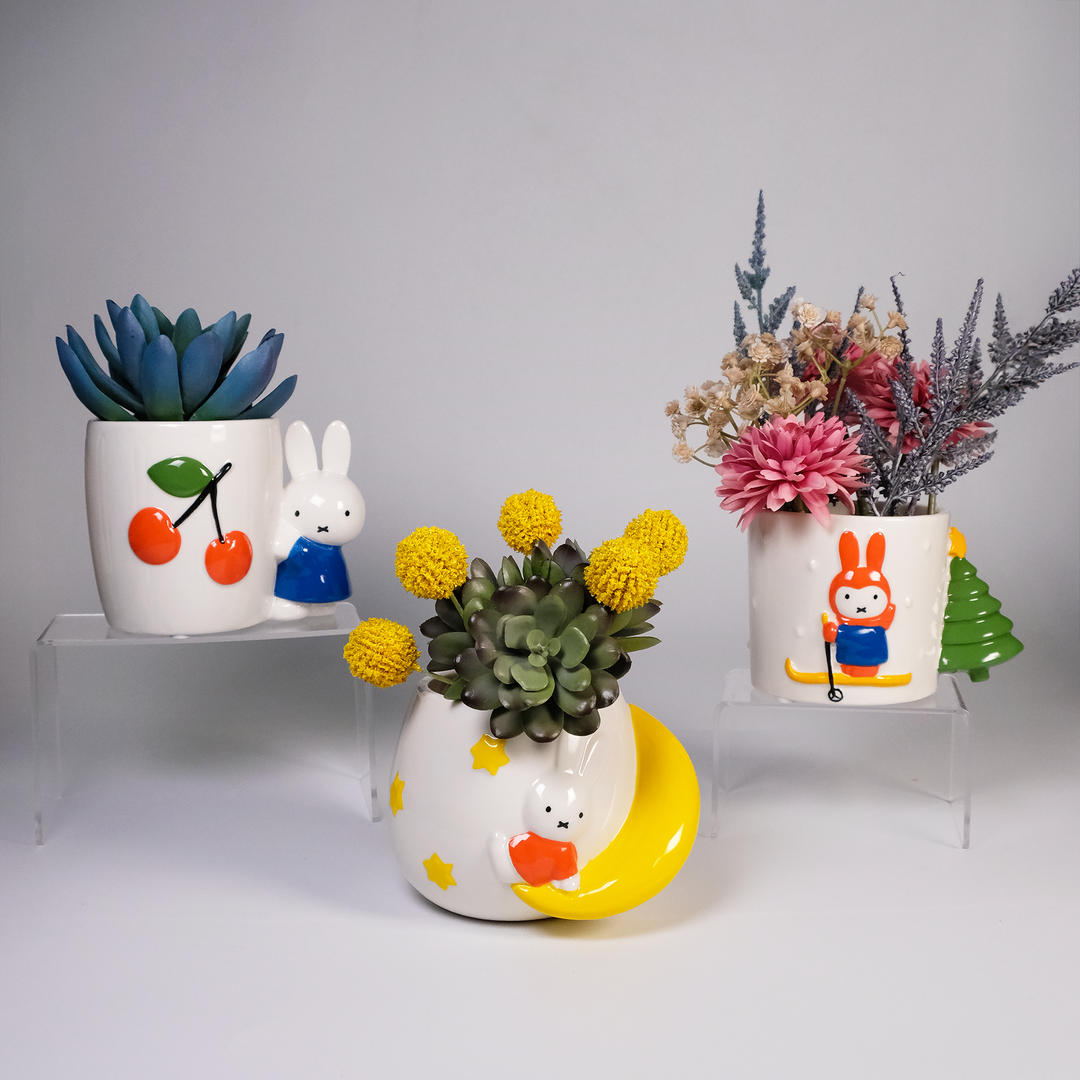moon plant pot Miffy Moon Star Planter