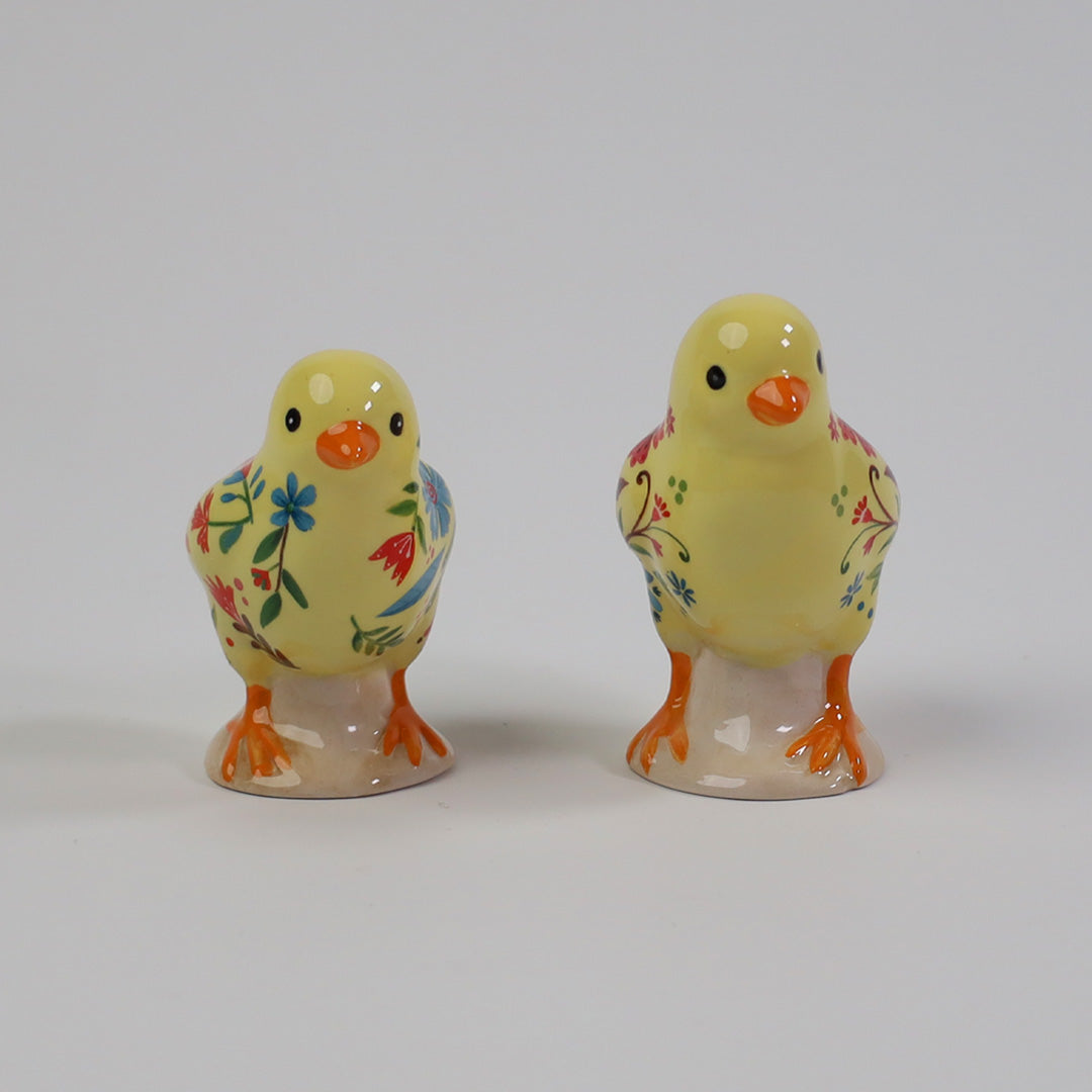 Blooming Garden Floral Chicks Salt & Pepper Set