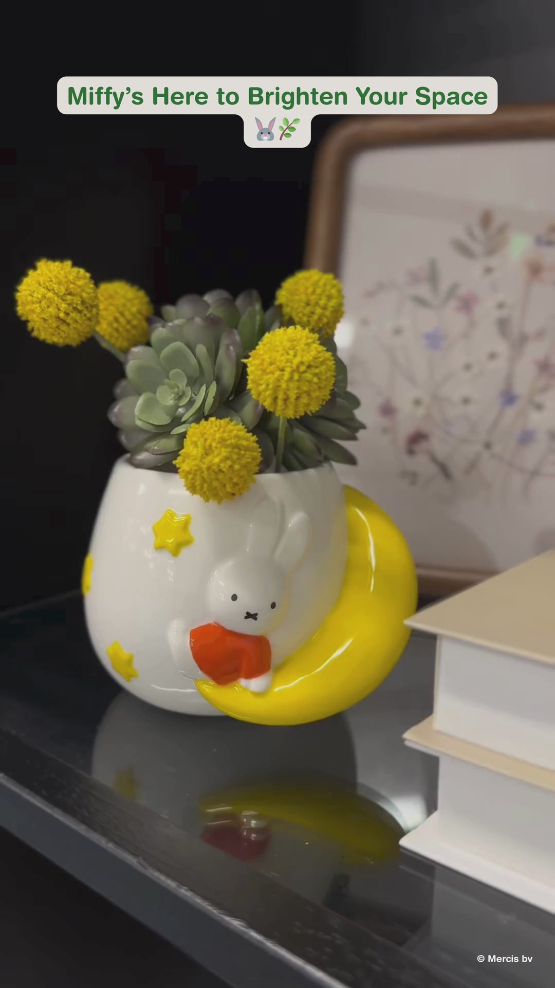 Miffy's Alpine Glow Planter