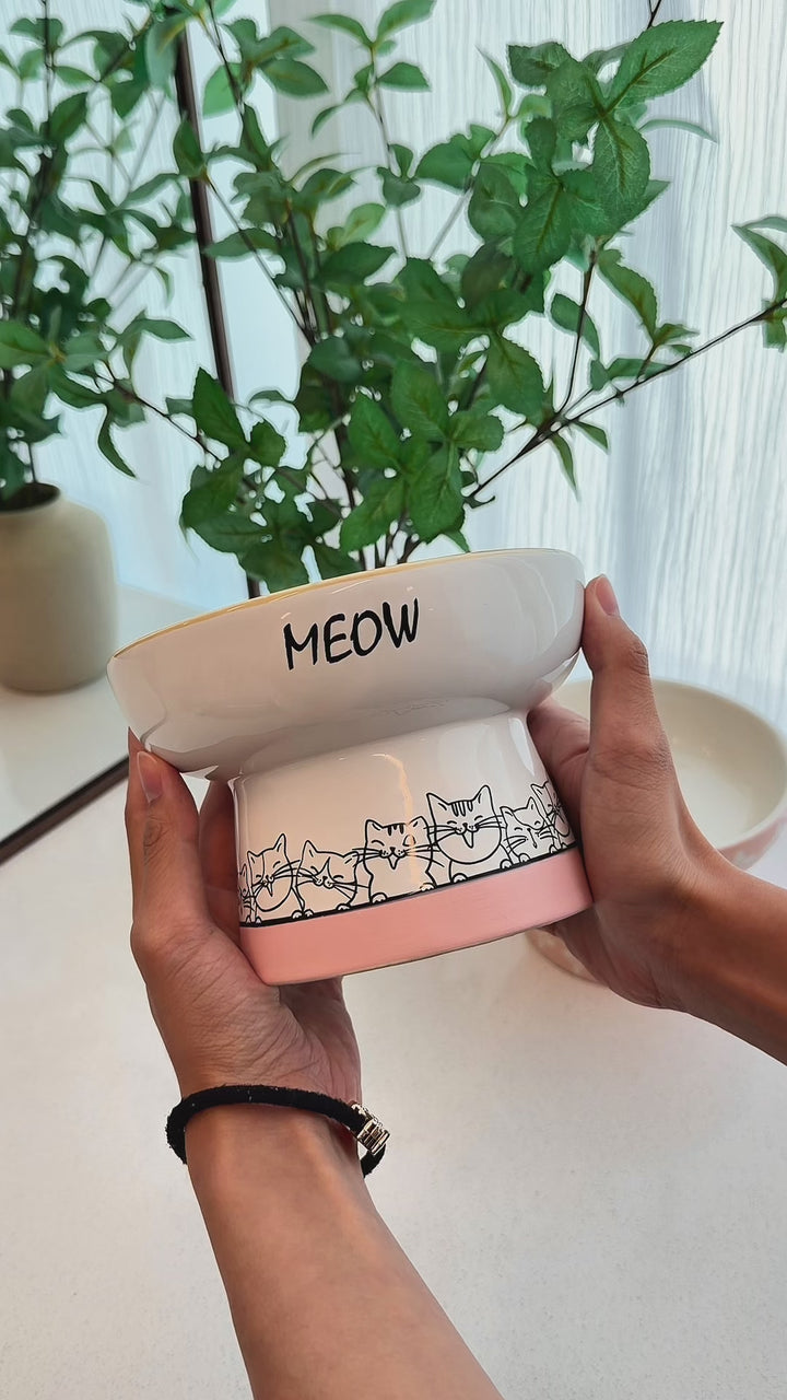 Pink 6" Pedestal Pet Bowl
