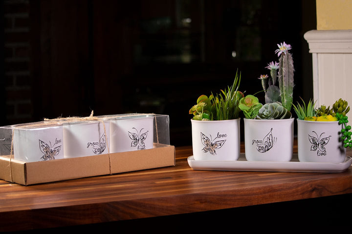 Landry Butterfly Set of 4" Plants W/ Tray