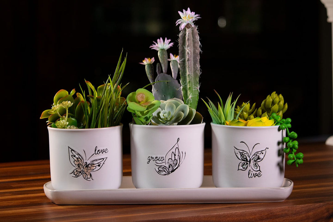 Landry Butterfly Set of 4" Plants W/ Tray