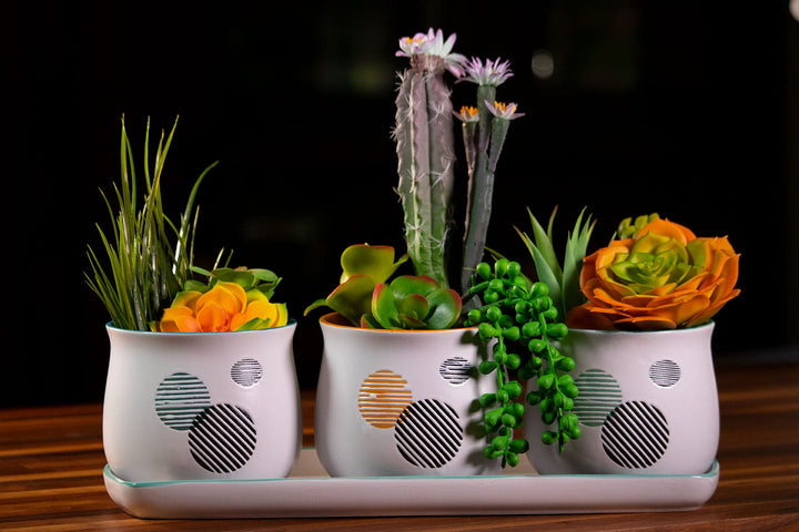 Merry Round Set of 4" Planters W/ Tray