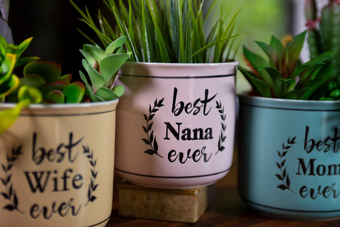 Best Ever Camp Planters