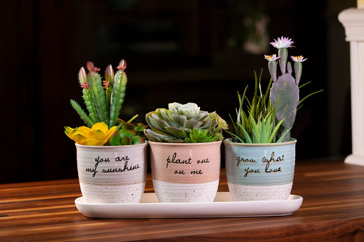 Patricia Set of 4" Planters w/ Tray