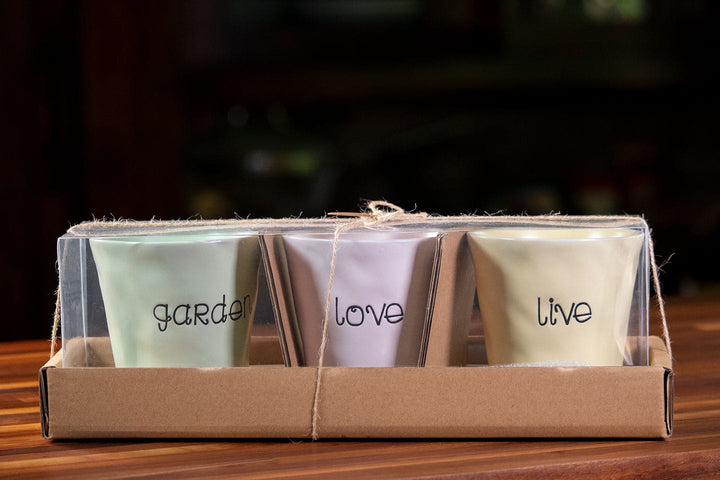 Live Love Garden Set of 4" Planters Tray