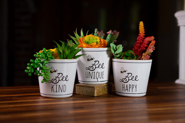 Bee Buzz Planters 5"