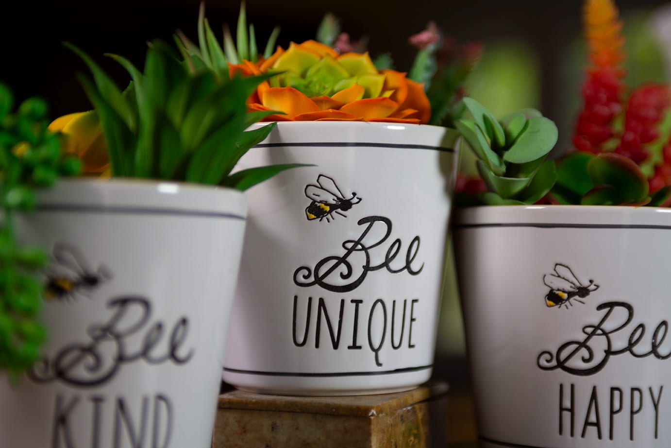 Bee Buzz Planters – Blue Sky Clayworks