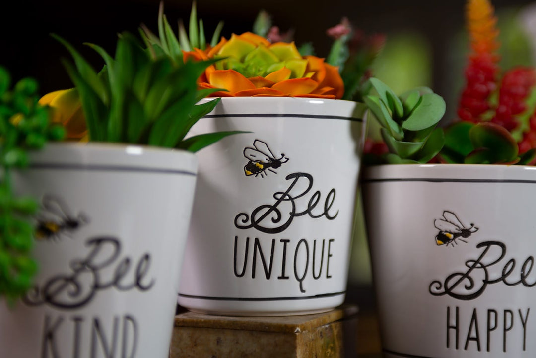 Bee Buzz Planters 5"