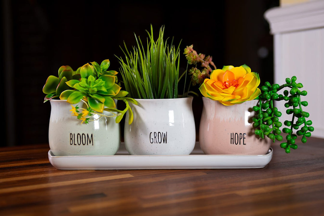 set of 4 plant pots Grandview Set of 4" Planters W/ Tray