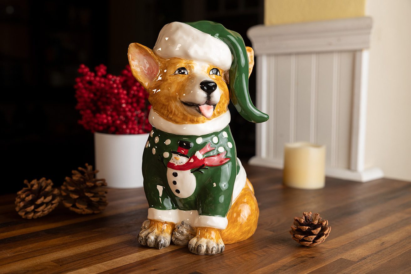 Green Sweater Corgi popular With Matching Hat