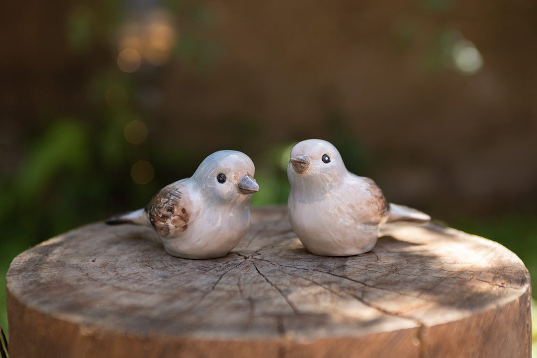 LITTLE BIRD SALT & PEPPER SET