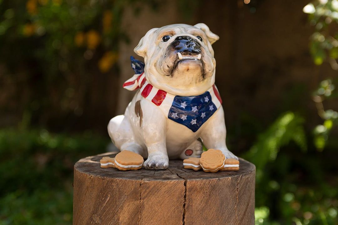 Stars and Stripes Forever Cookie Jar