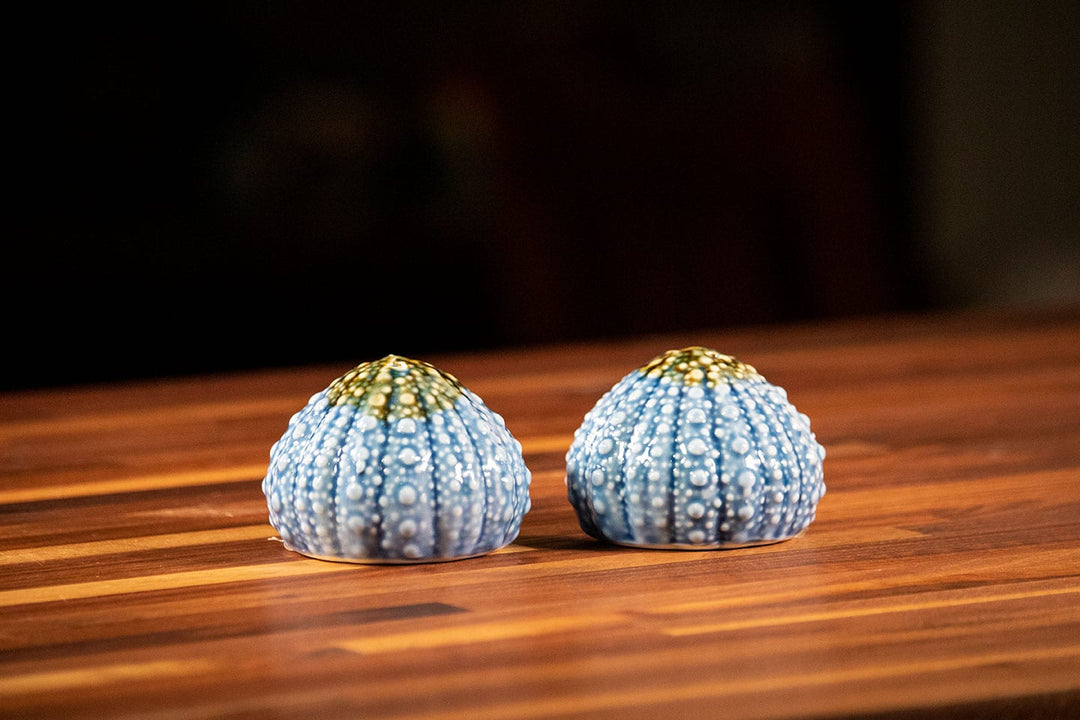 Blue Urchin Box Salt & Pepper